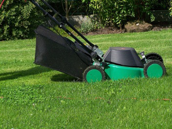 Jenic Lawn Care'
