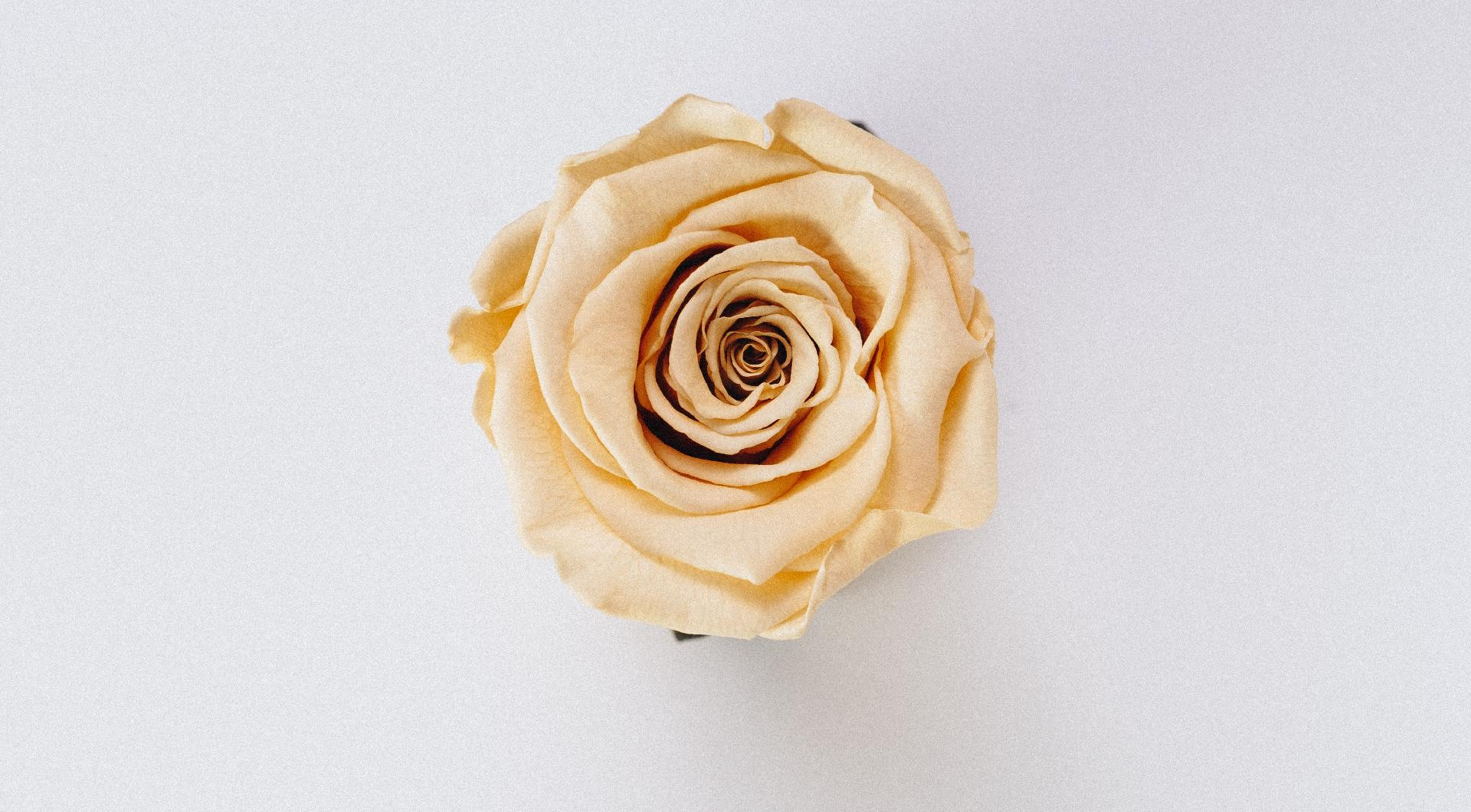 Company Logo For Sarah M Bowen