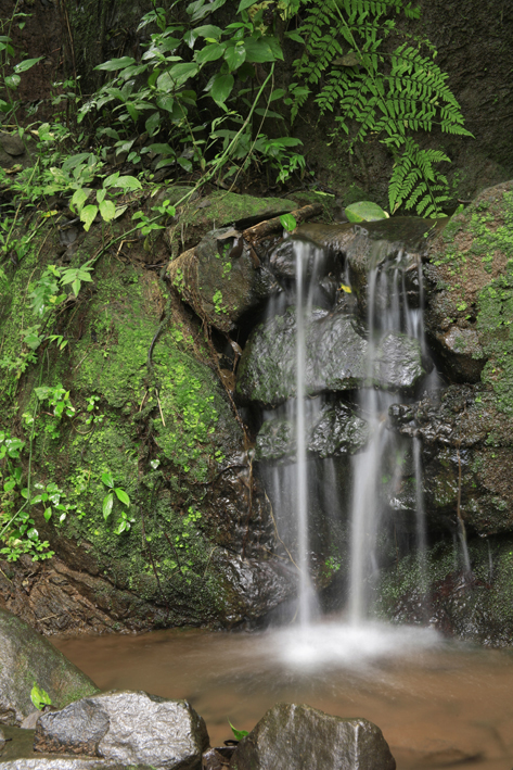 Orchid Point Nature Reserve