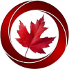 Company Logo For novusimmigration.ca'