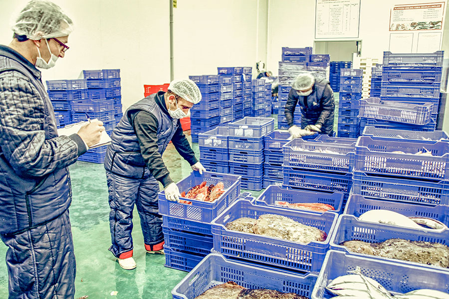 Food and Beverage Cold Chain Logistics'