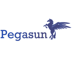Pegasun
