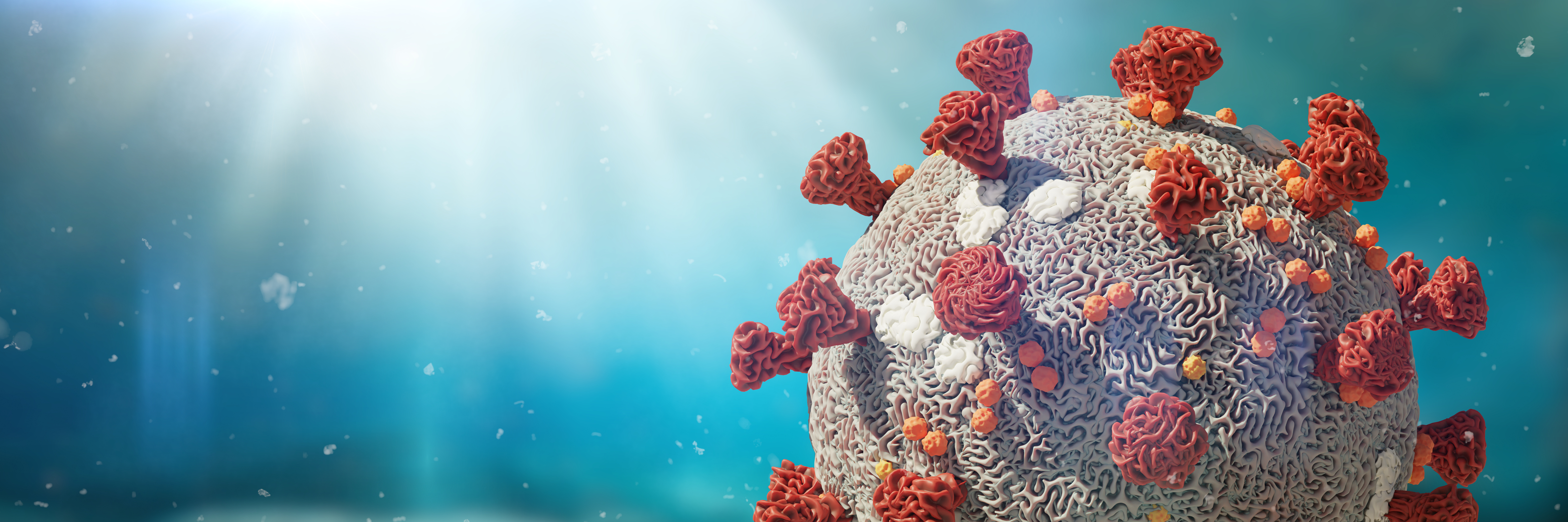 Fluctuation of Crime during the COVID-19 Pandemic'