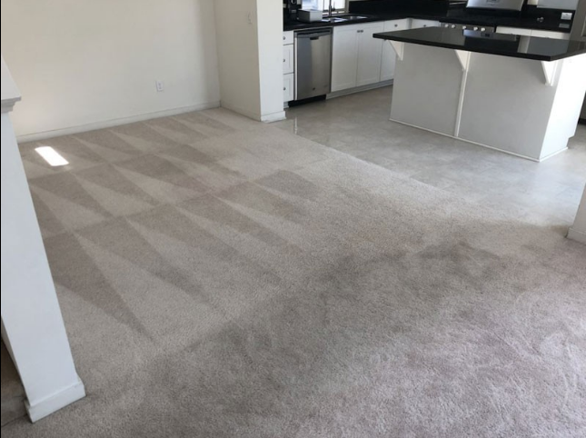 Pro Green Carpet Cleaning Services in Lake Forest CA Logo