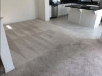Pro Green Carpet Cleaning Services in Lake Forest CA Logo