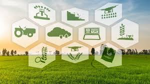 E-Commerce of Agricultural Products Market