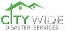 Citywide Disaster Logo