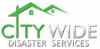 Company Logo For Citywide Disaster'