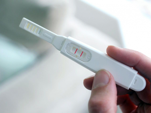Pregnancy Testing Devices'