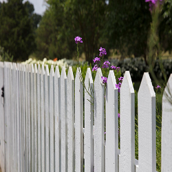 Fence Design'