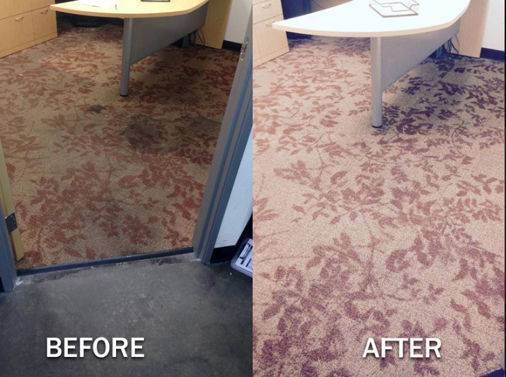 Pro Green Carpet Cleaning Services in Irvine CA Logo