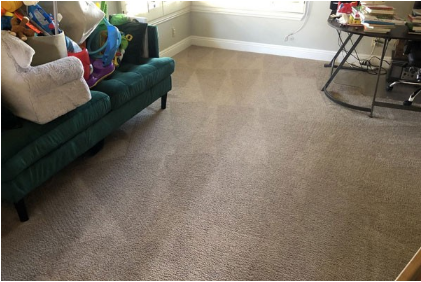 Pro Green Carpet Cleaning Services Laguna Hills CA Logo