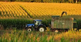 Crop Production Market'