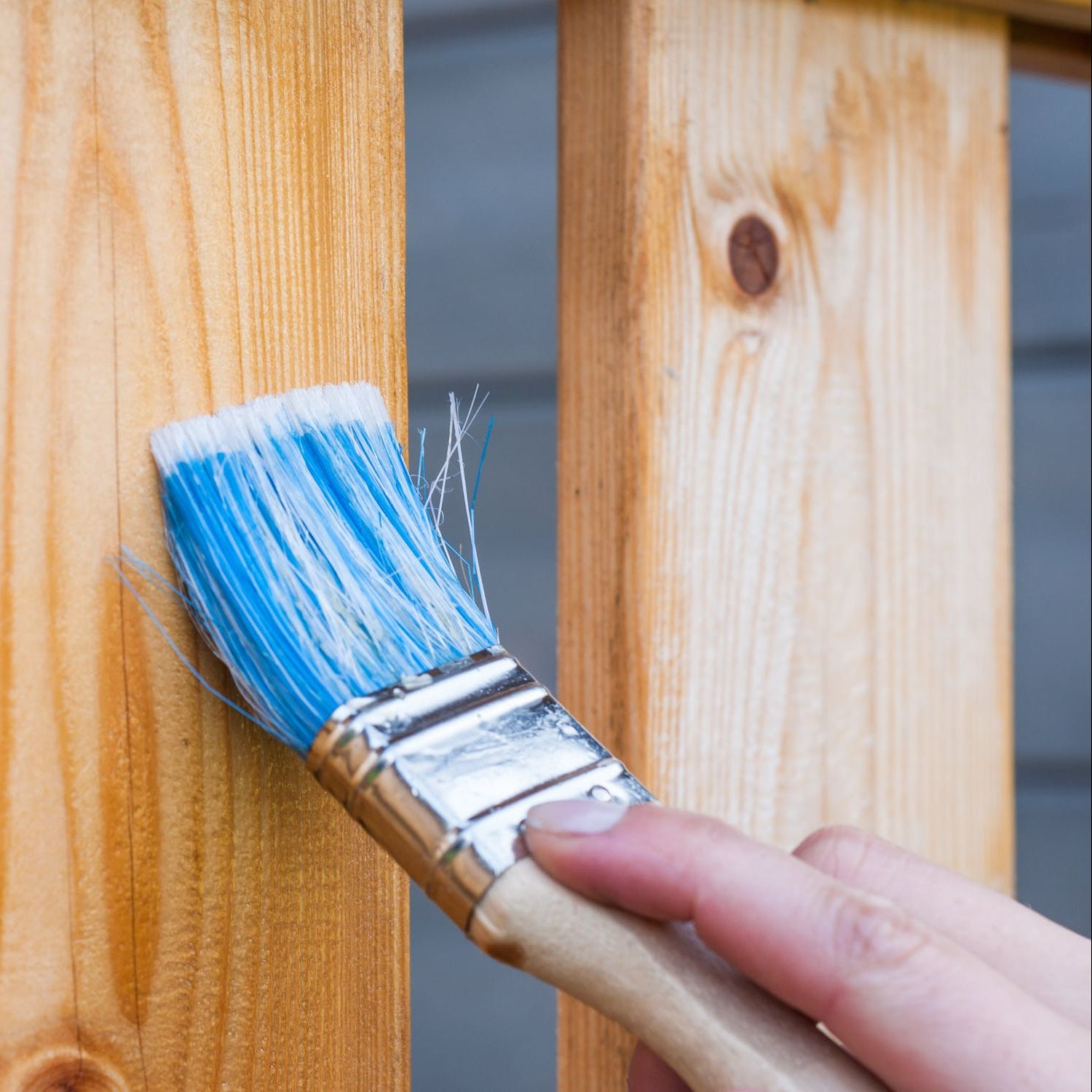 Painting Companies'