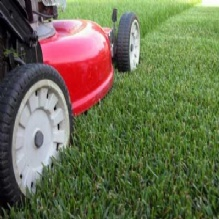 Lawn Service'
