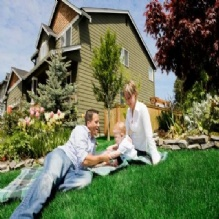 Lawn Maintenance'