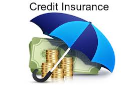 Credit Insurance Market'