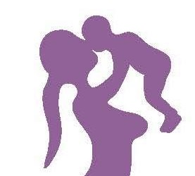 WS Law Womens Clinic and Laparoscopic Surgery Centre Logo