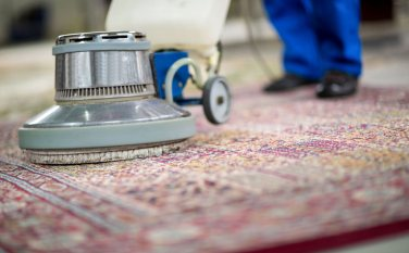 Company Logo For Area Rug Cleaning Ontario'