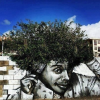 Protect Street Art from Vanishing for Ever'