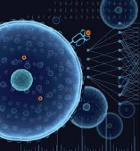 Artificial Intelligence (AI) in Drug Discovery Market May Se