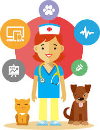 Lifetime Pet Insurance Market