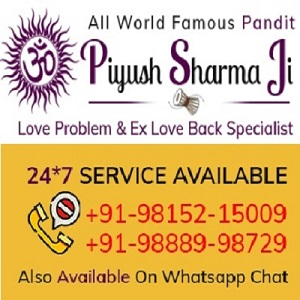 Company Logo For Visa Problem Solution Astrologer'