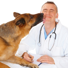 Veterinarian'