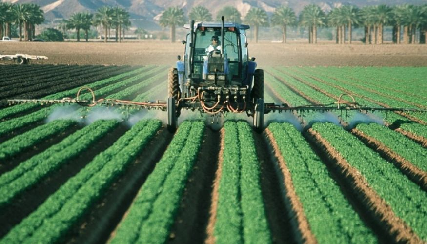 Fertilizer and Pesticide Market