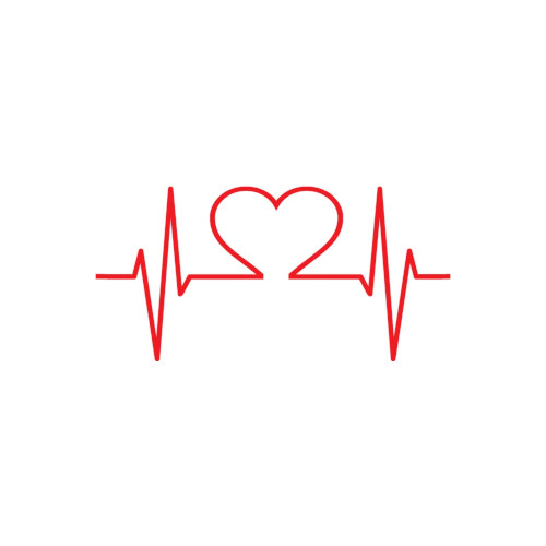 Company Logo For Support Life Training Solutions'