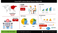 Global PARP Inhibitors Market Assessment
