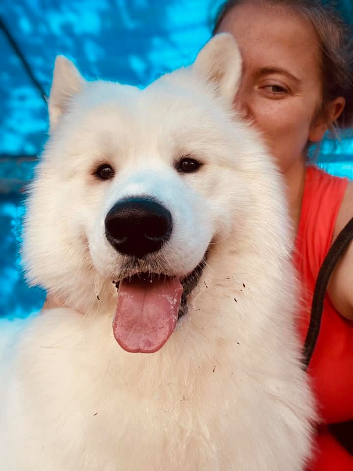 Good Dog Ranch and Spa - Dog Boarding and Grooming