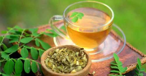 Moringa Tea Market is touching new level &amp;ndash; A compr'