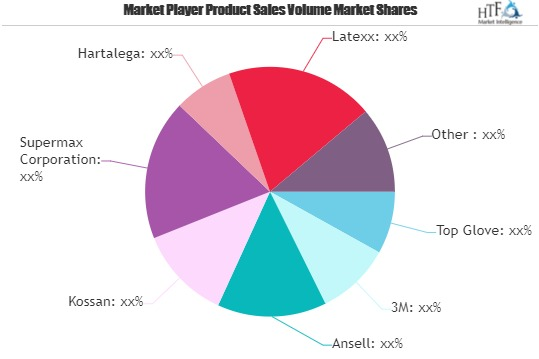 Safety Gloves Market'