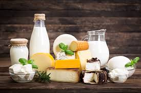 Dairy Food Market