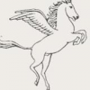 Company Logo For Pegasus Building Restorations'