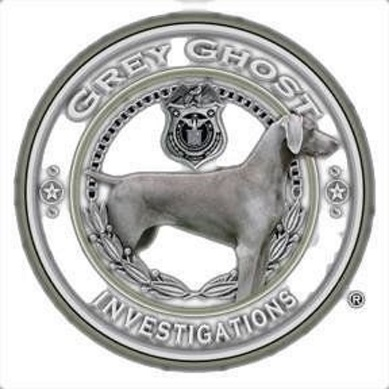 Company Logo For Grey Ghost - Private Investigator Miami'