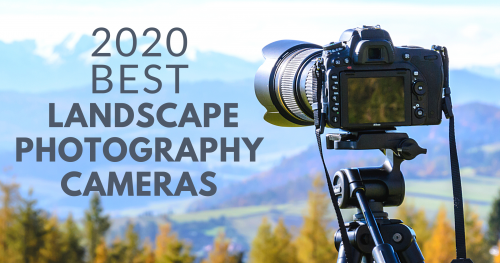 2020 Best Landscape Photography Cameras'
