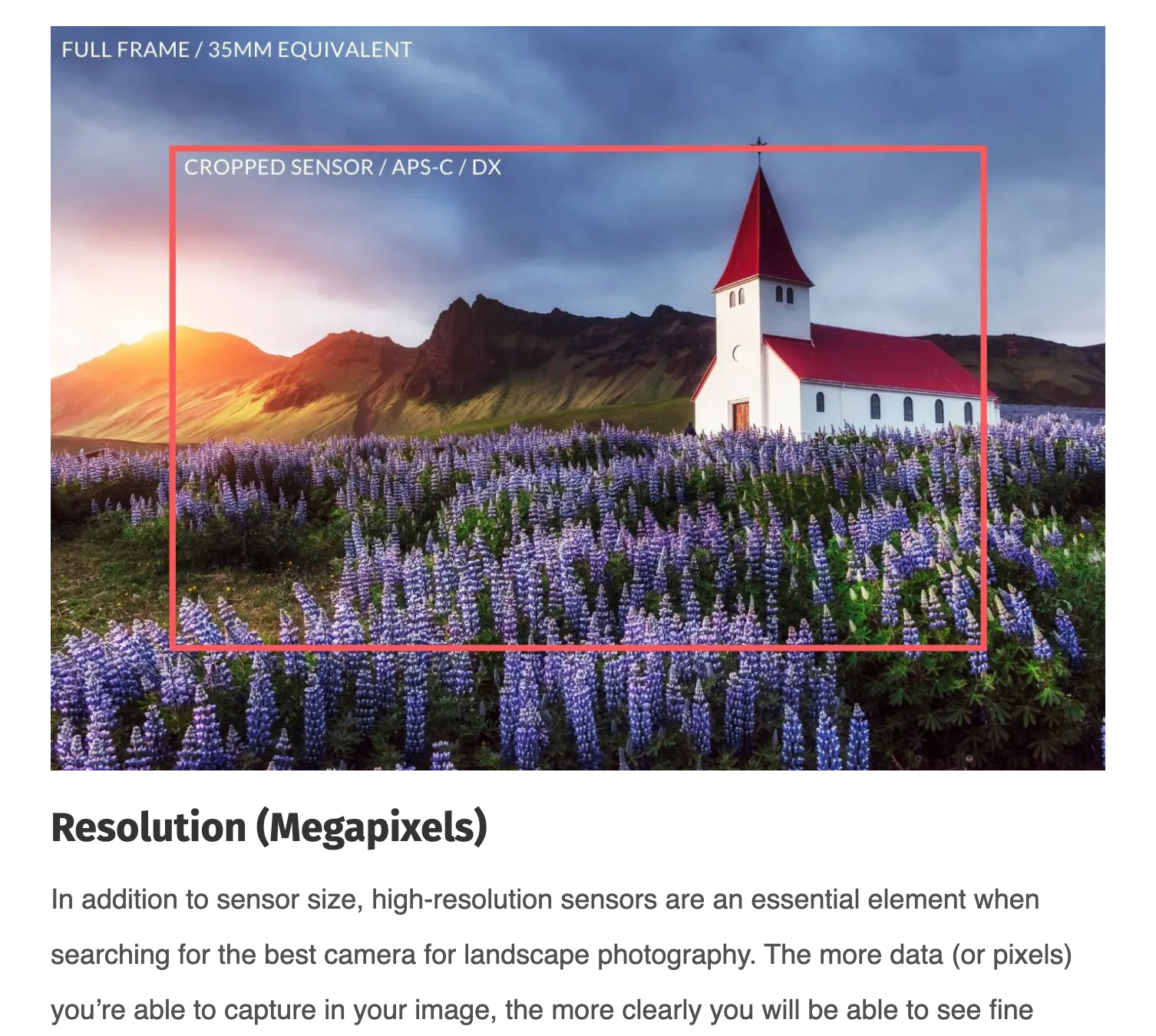 Sample Content From The Schubert Photography 2020 Guide For