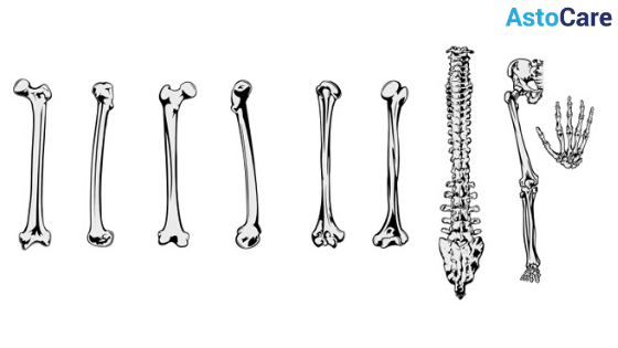 Bone Care Tips'