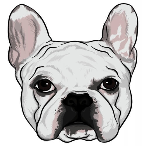 Company Logo For Bulldog Plumbers Fort Lauderdale'