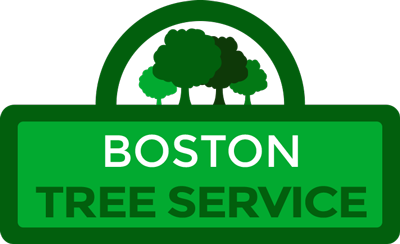 Company Logo For Boston Tree Service'