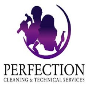 Company Logo For Perfectioncts'