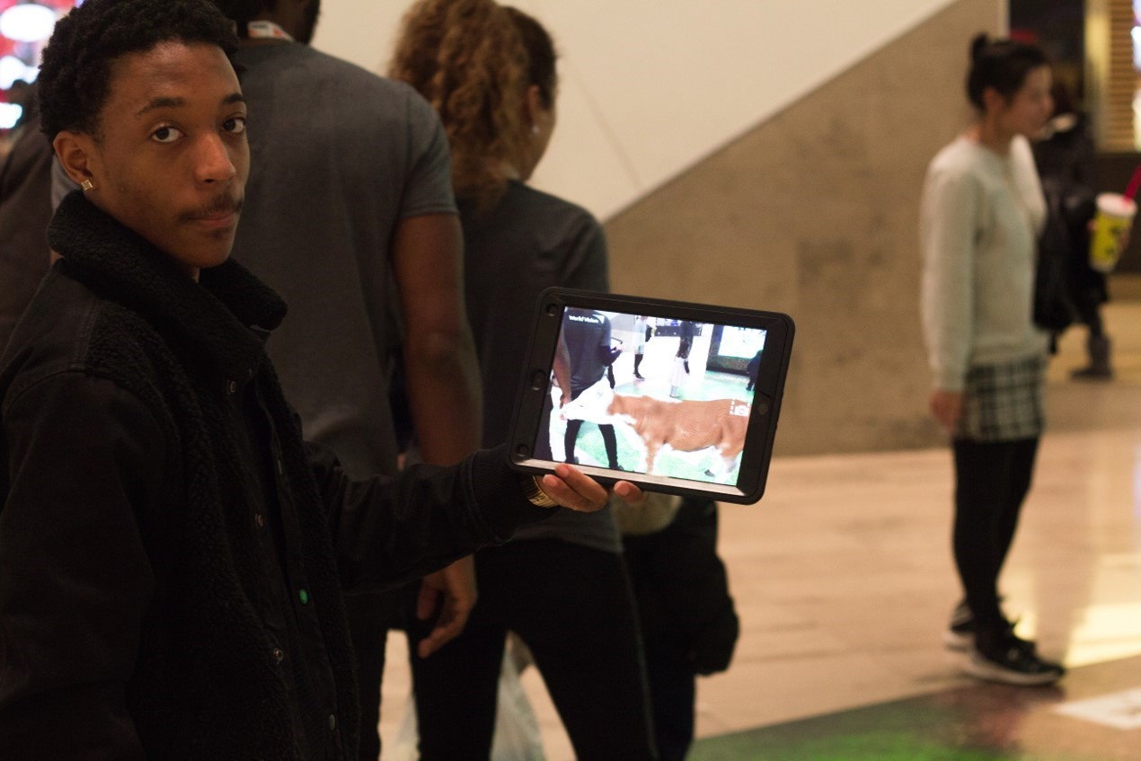 Dominick Mitchell, The CEO of JC ALGO and Corporate Analyst'