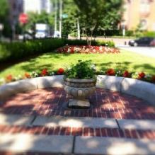 Company Logo For Tenleytown Landscape'