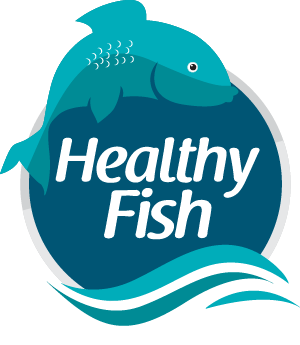 HealthyFish Kochi