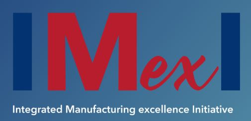 Company Logo For IMexI'
