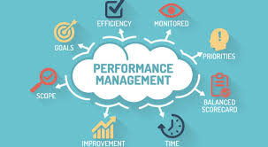 Performance Management Systems'
