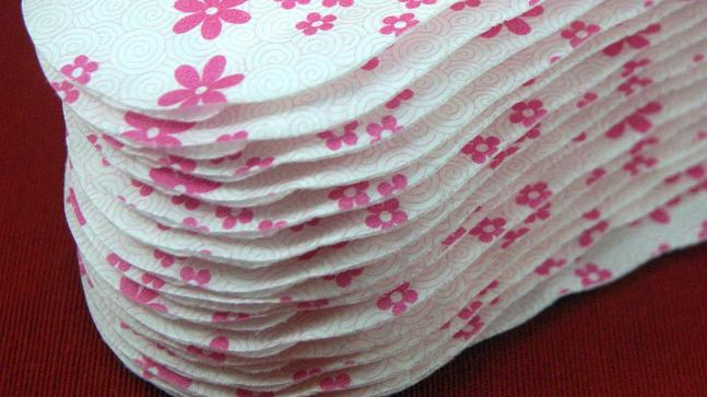 Biodegradable Sanitary Napkins Market