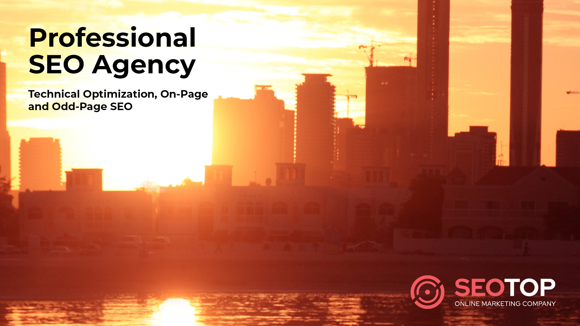 Professional SEO Agency'